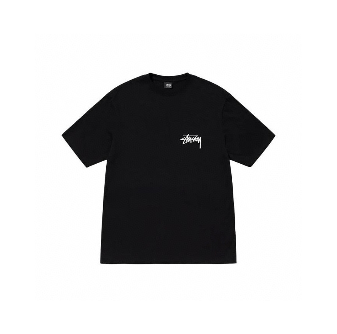 Stussy Circular Landscape Photo T-Shirt