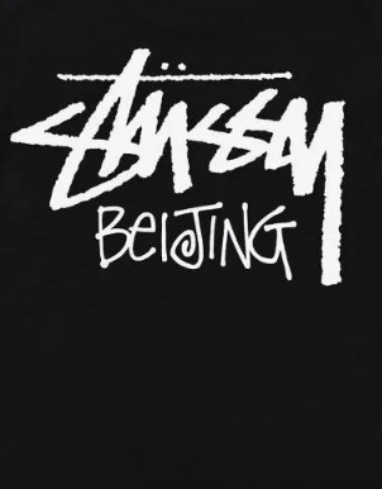 Stussy Double-Line Handstyle T-Shirt