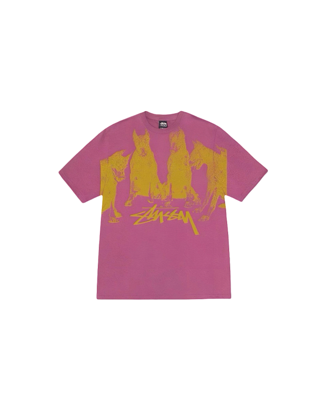 Stussy Monochrome Band Photo T-Shirt