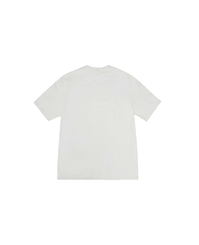 Stussy Monochrome Band Photo T-Shirt