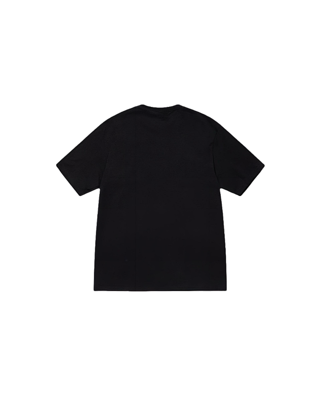 Stussy Monochrome Band Photo T-Shirt