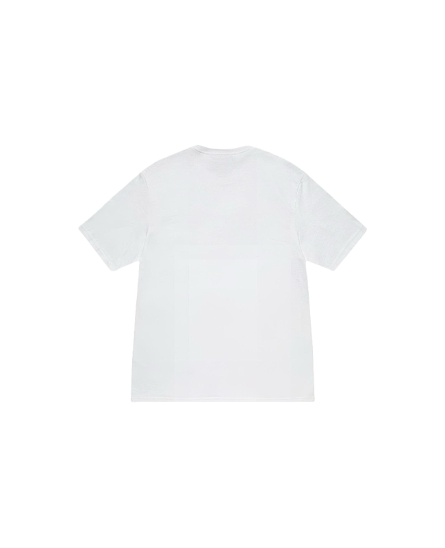 Stussy Monochrome Band Photo T-Shirt