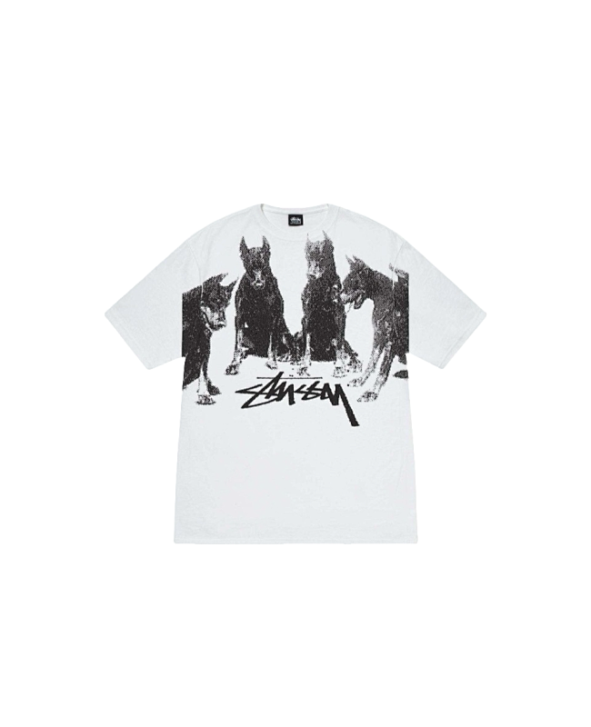 Stussy Monochrome Band Photo T-Shirt