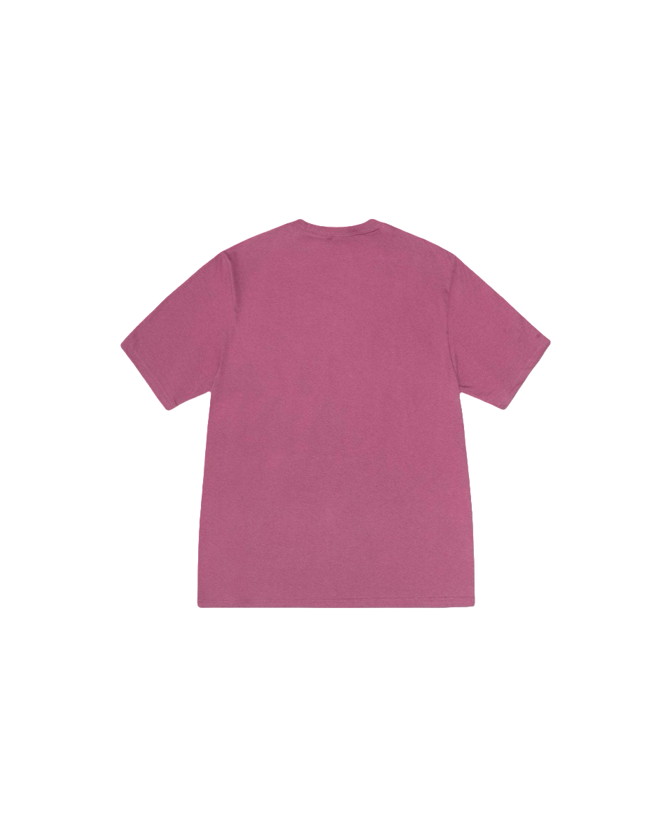 Stussy Monochrome Band Photo T-Shirt