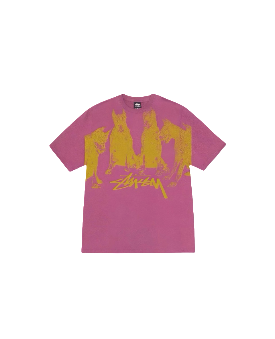 Stussy Monochrome Band Photo T-Shirt