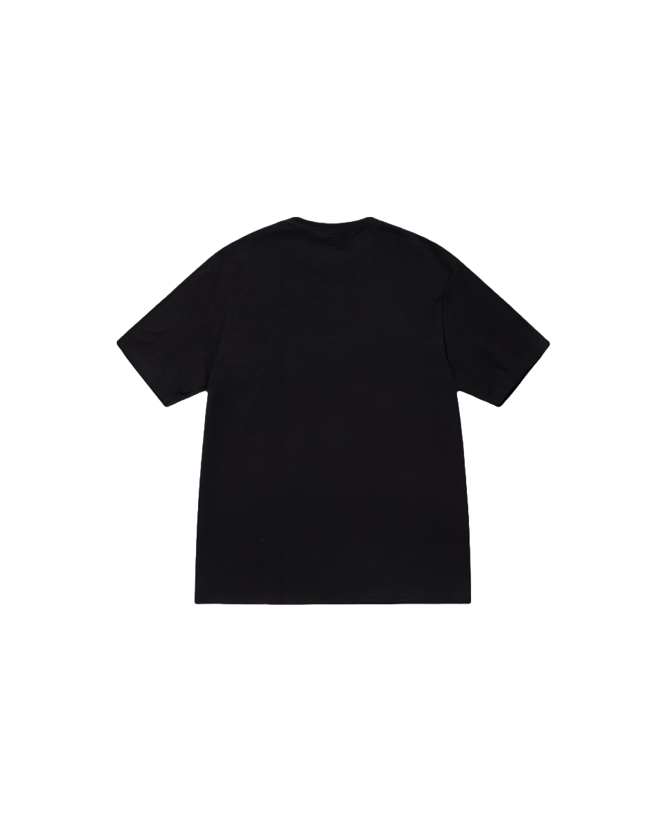 Stussy Monochrome Band Photo T-Shirt