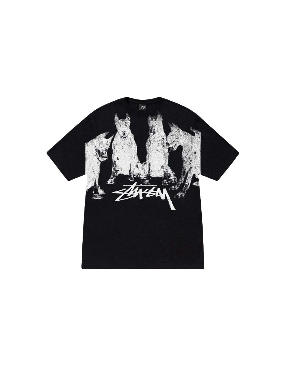 Stussy Monochrome Band Photo T-Shirt