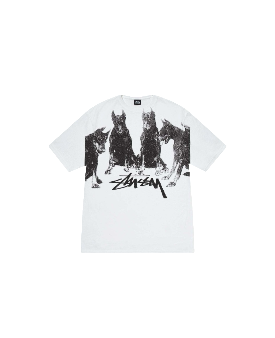 Stussy Monochrome Band Photo T-Shirt
