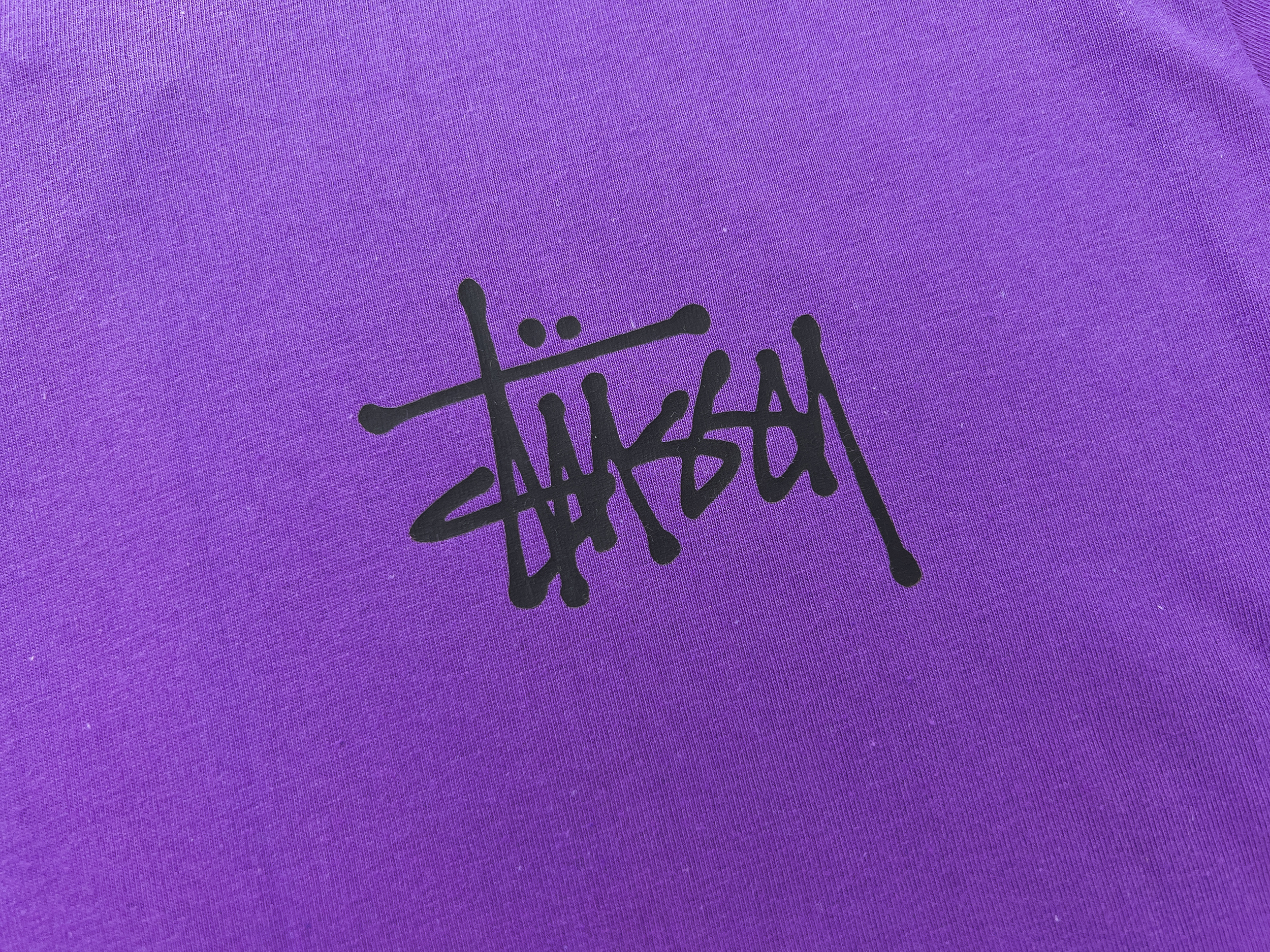 Stussy Winged Skull Circle Emblem T-Shirt