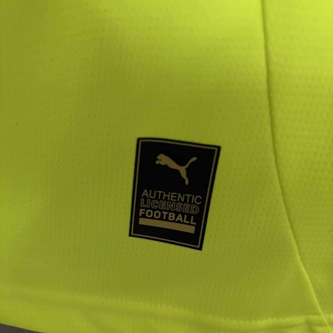 Borussia Dortmund 2025/26 Mens Fluorescent Green Jersey
