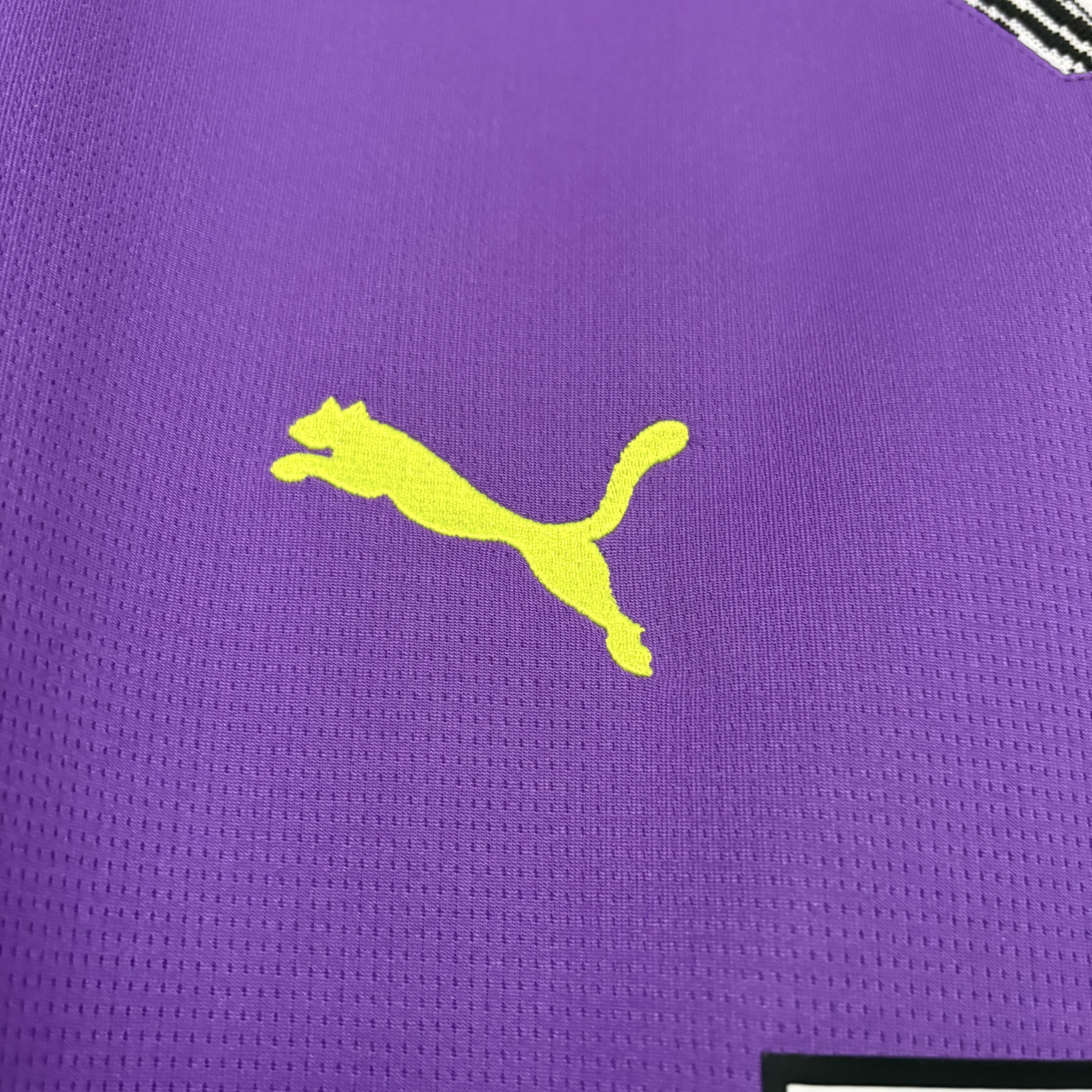 Borussia Dortmund 2025/26 Mens Purple Jersey