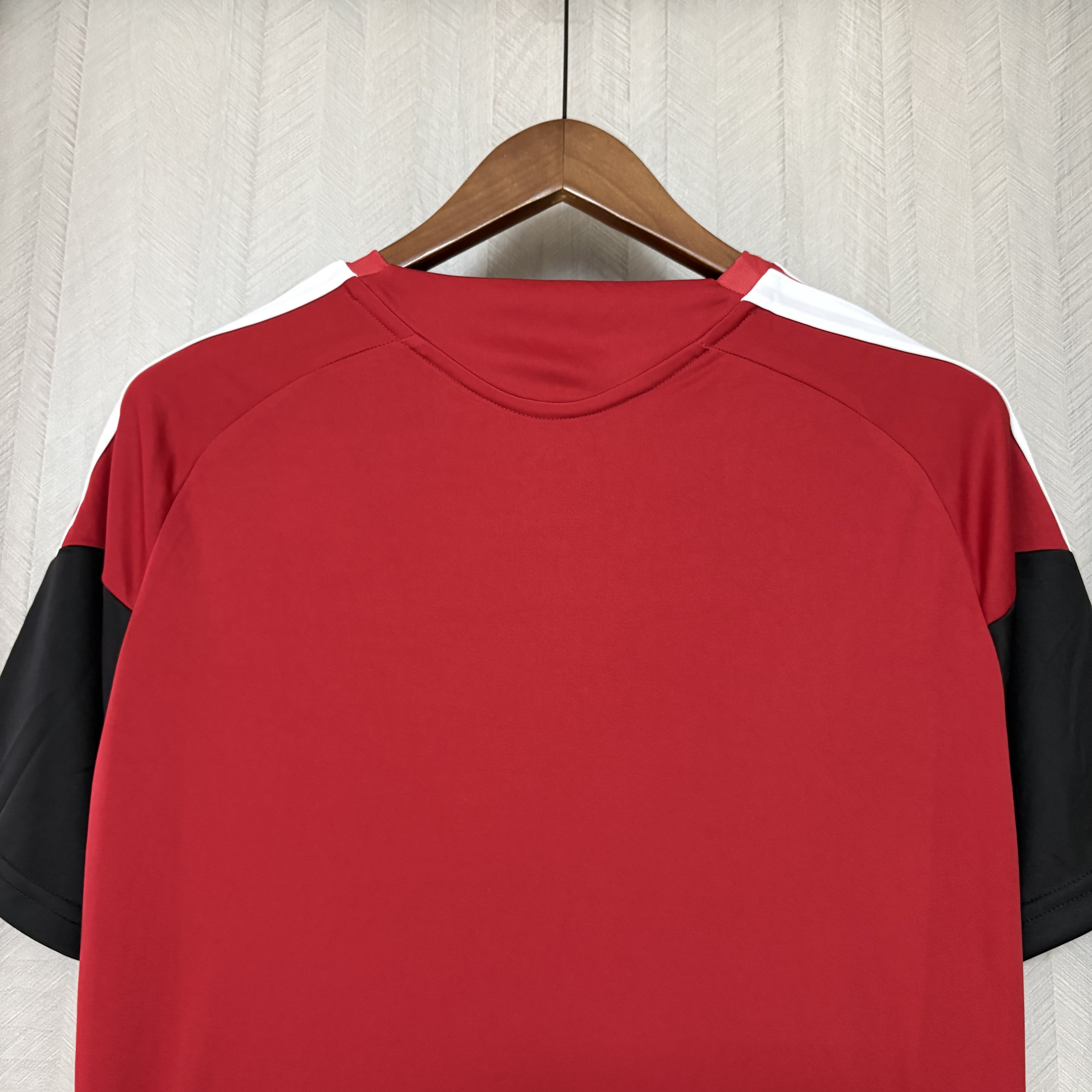 Germany 2026 Mens Red Training Jersey