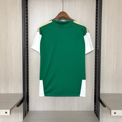 Italy Mens Green Jersey 02
