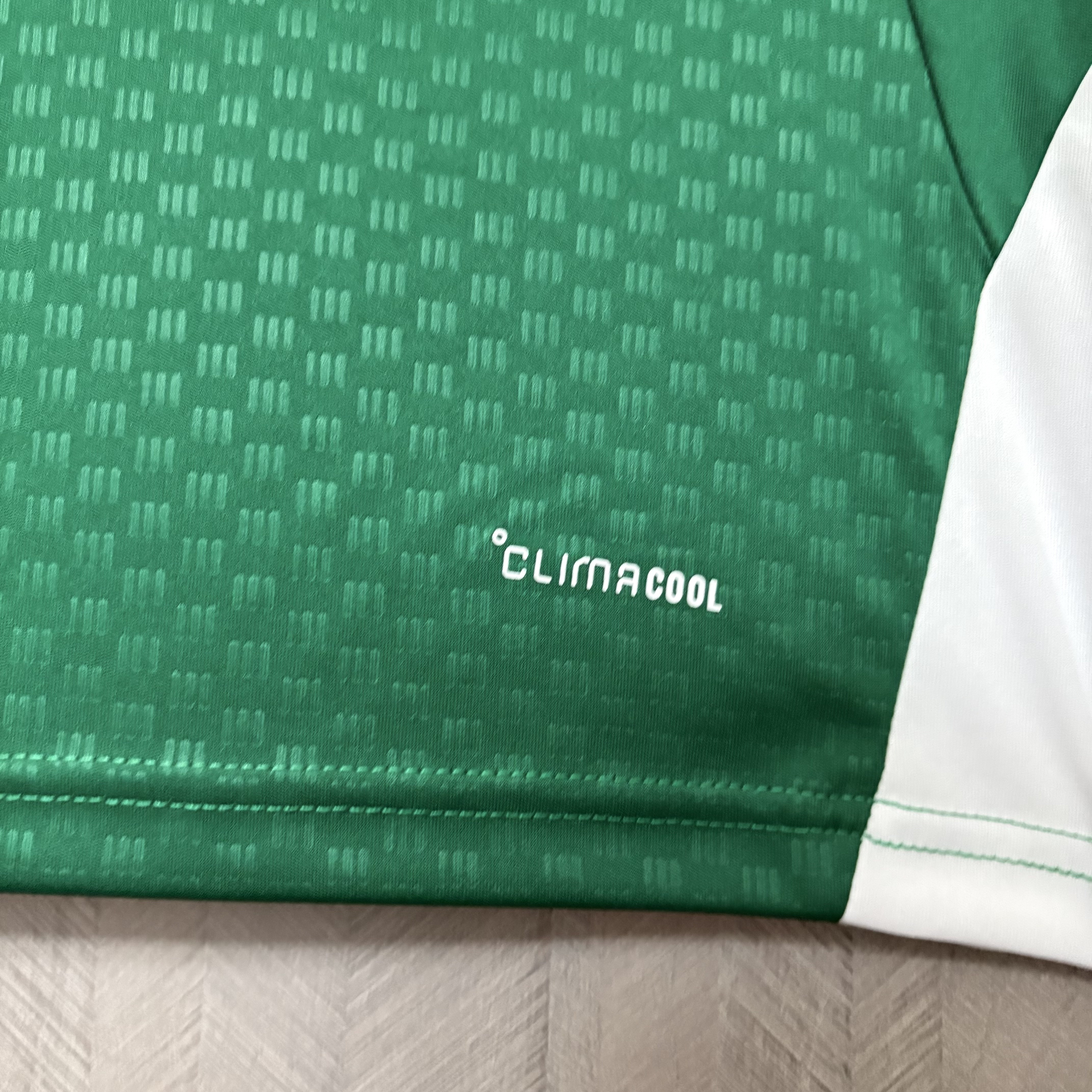 Italy Mens Green Jersey