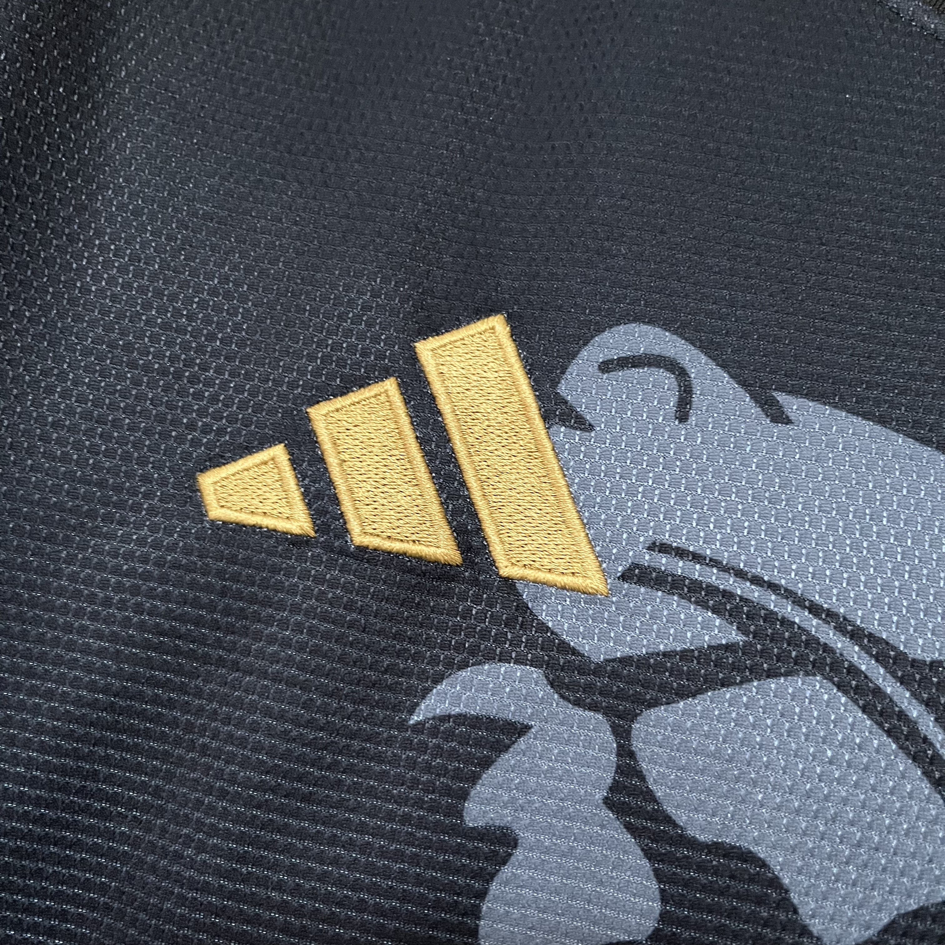 Aston Villa 2025/26 Mens Black Jersey