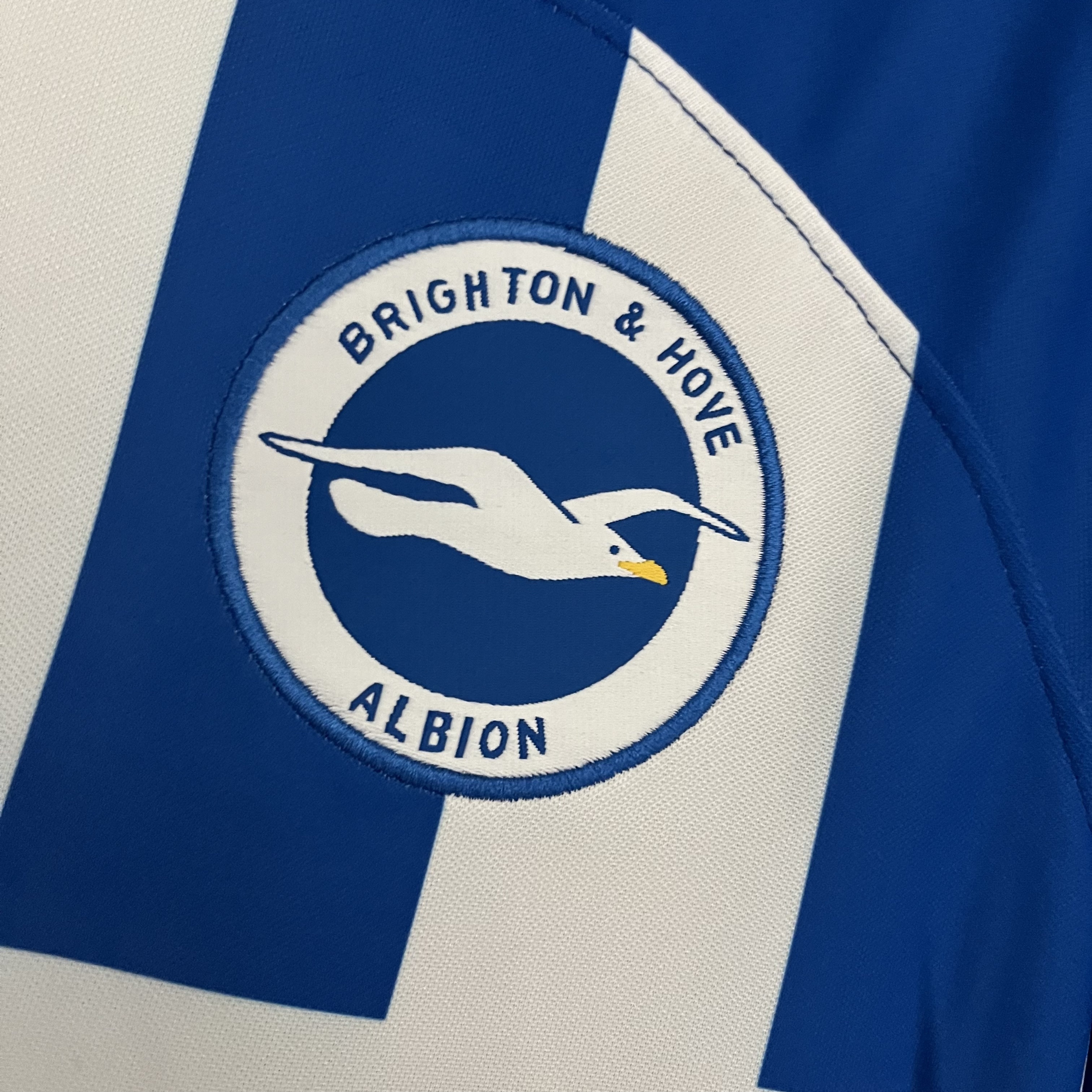 Brighton & Hove Albion 2023/24 Mens Home Jersey