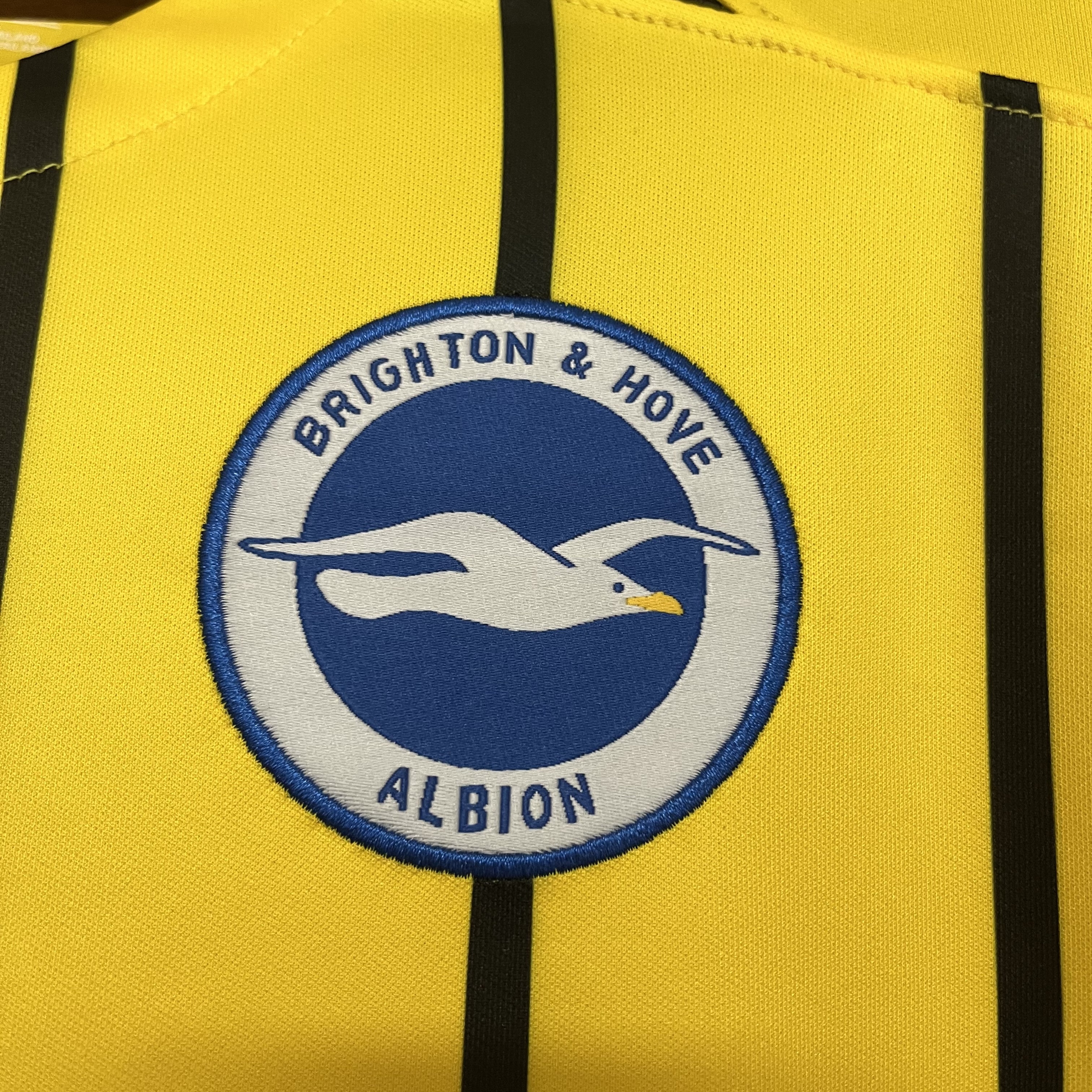 Brighton & Hove Albion 2024/25 Mens Away Jersey