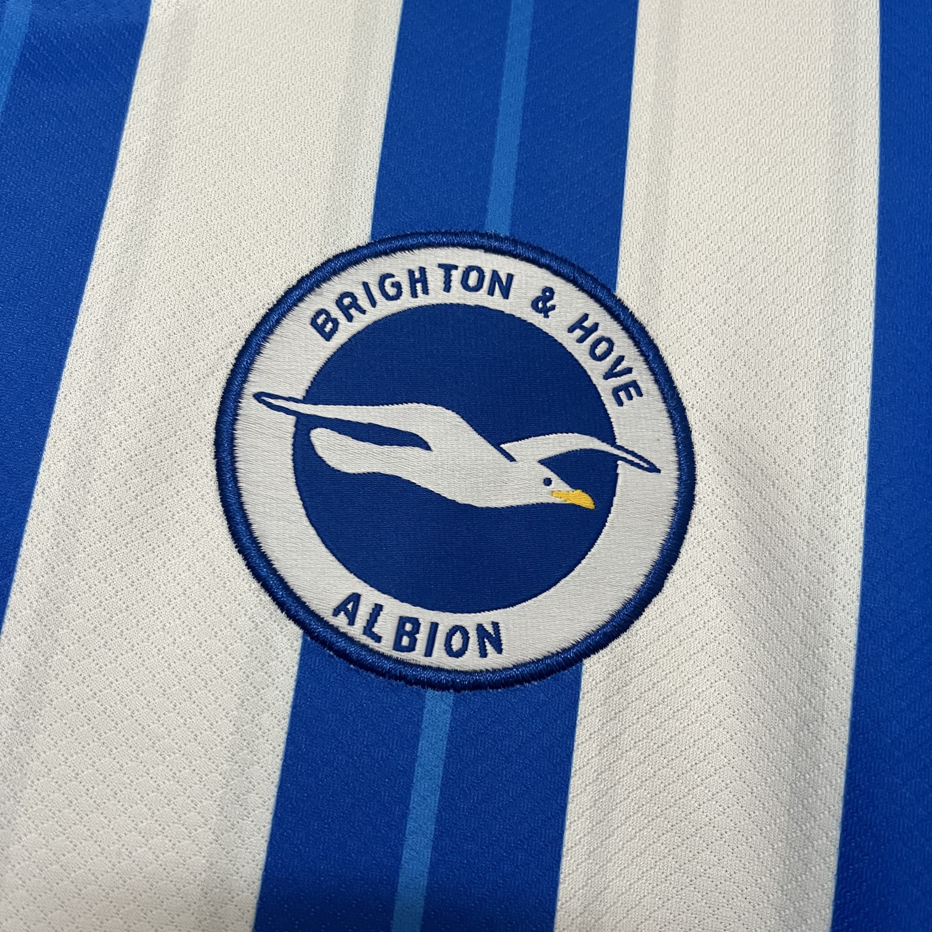 Brighton & Hove Albion 2024/25 Mens Home Jersey