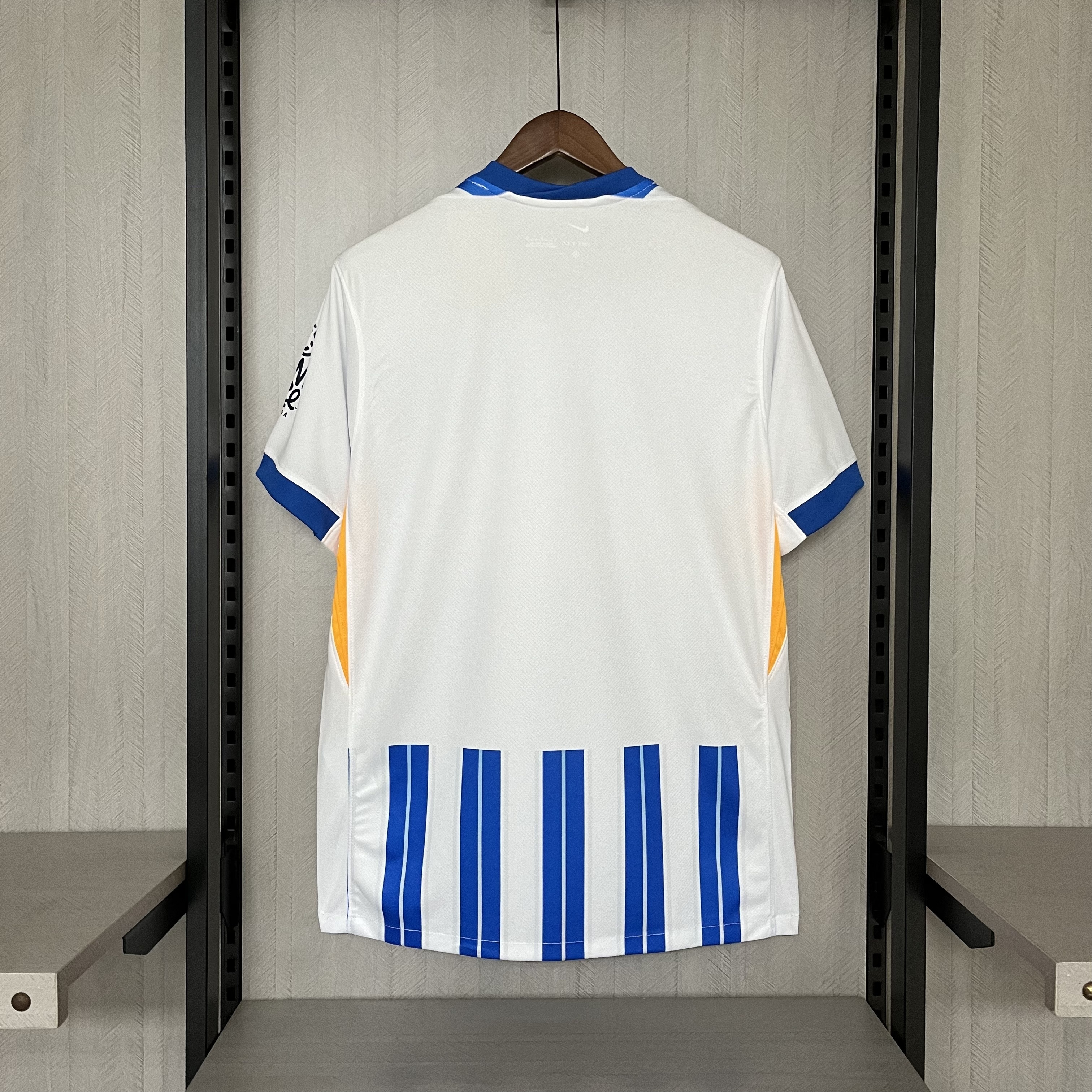 Brighton & Hove Albion 2024/25 Mens Home Jersey