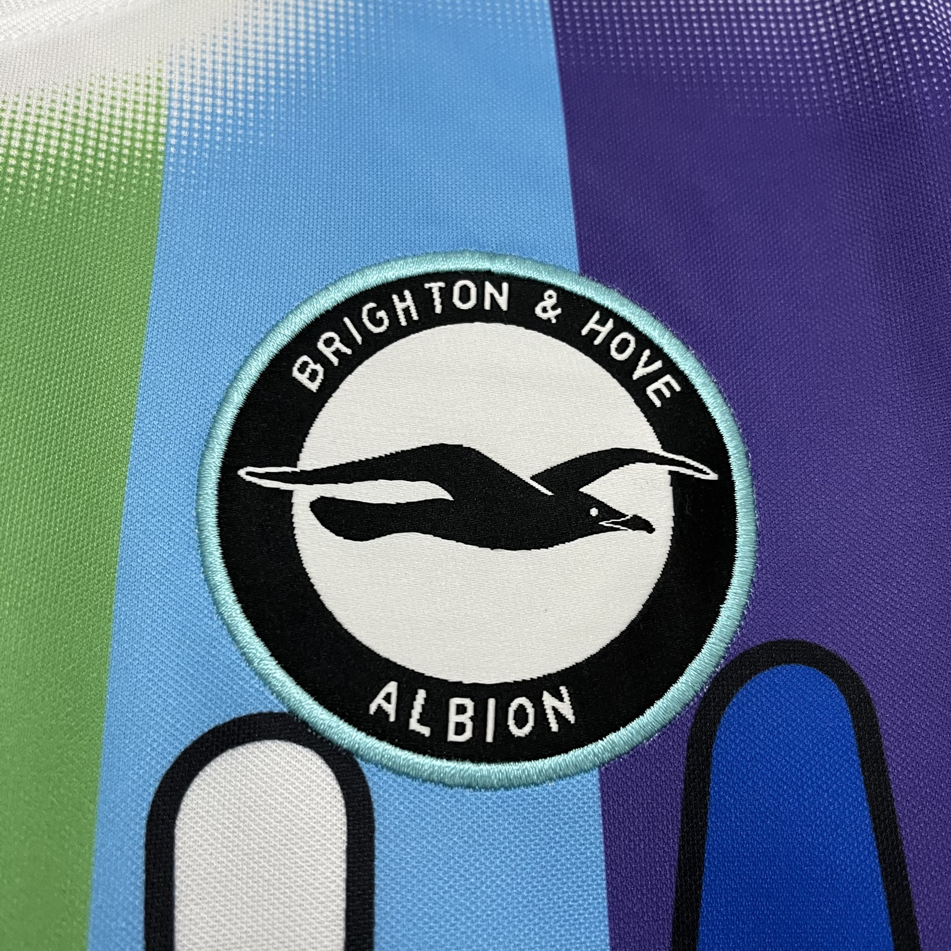 Brighton & Hove Albion 2024/25 Mens Jersey