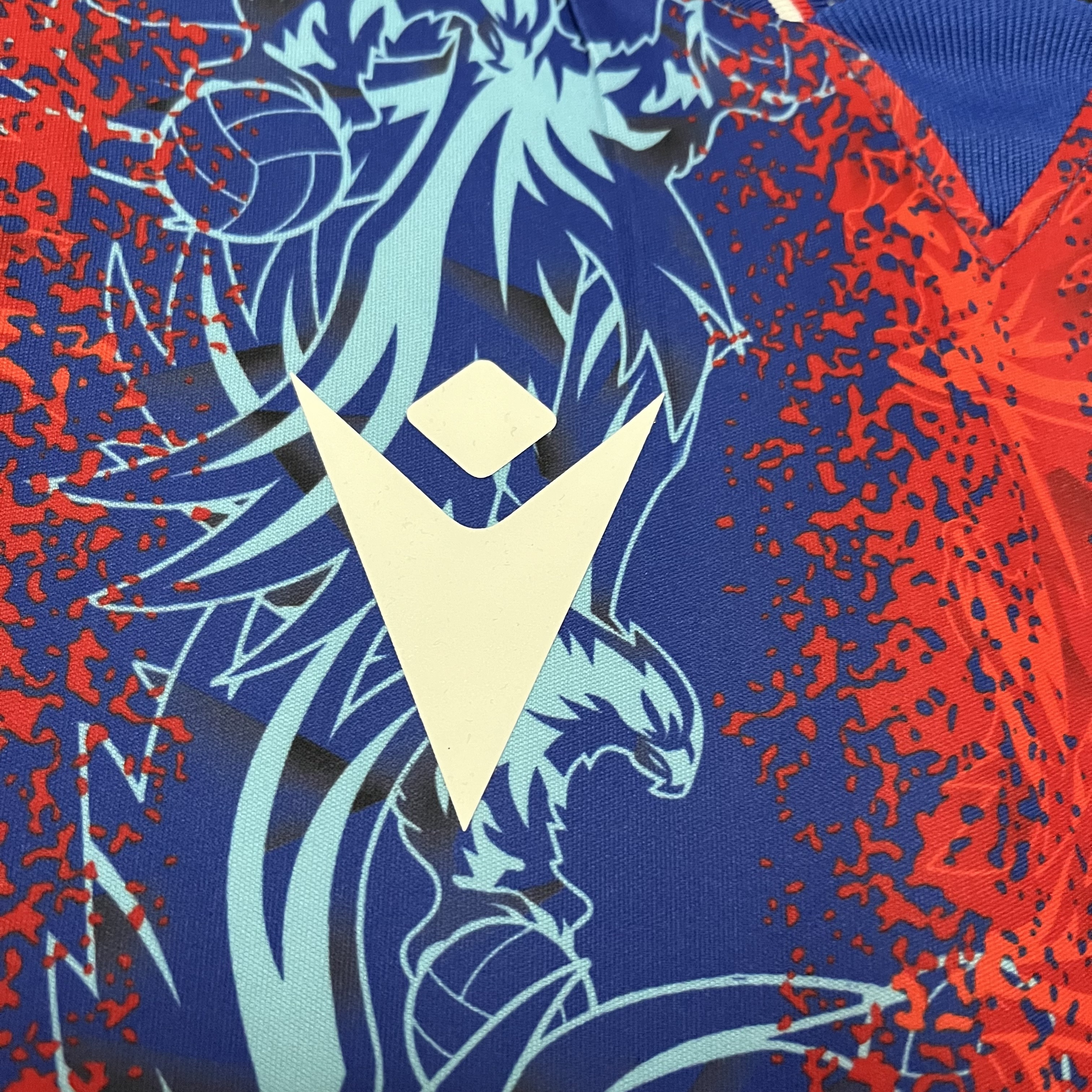 Crystal Palace 2024/25 Mens Home Jersey