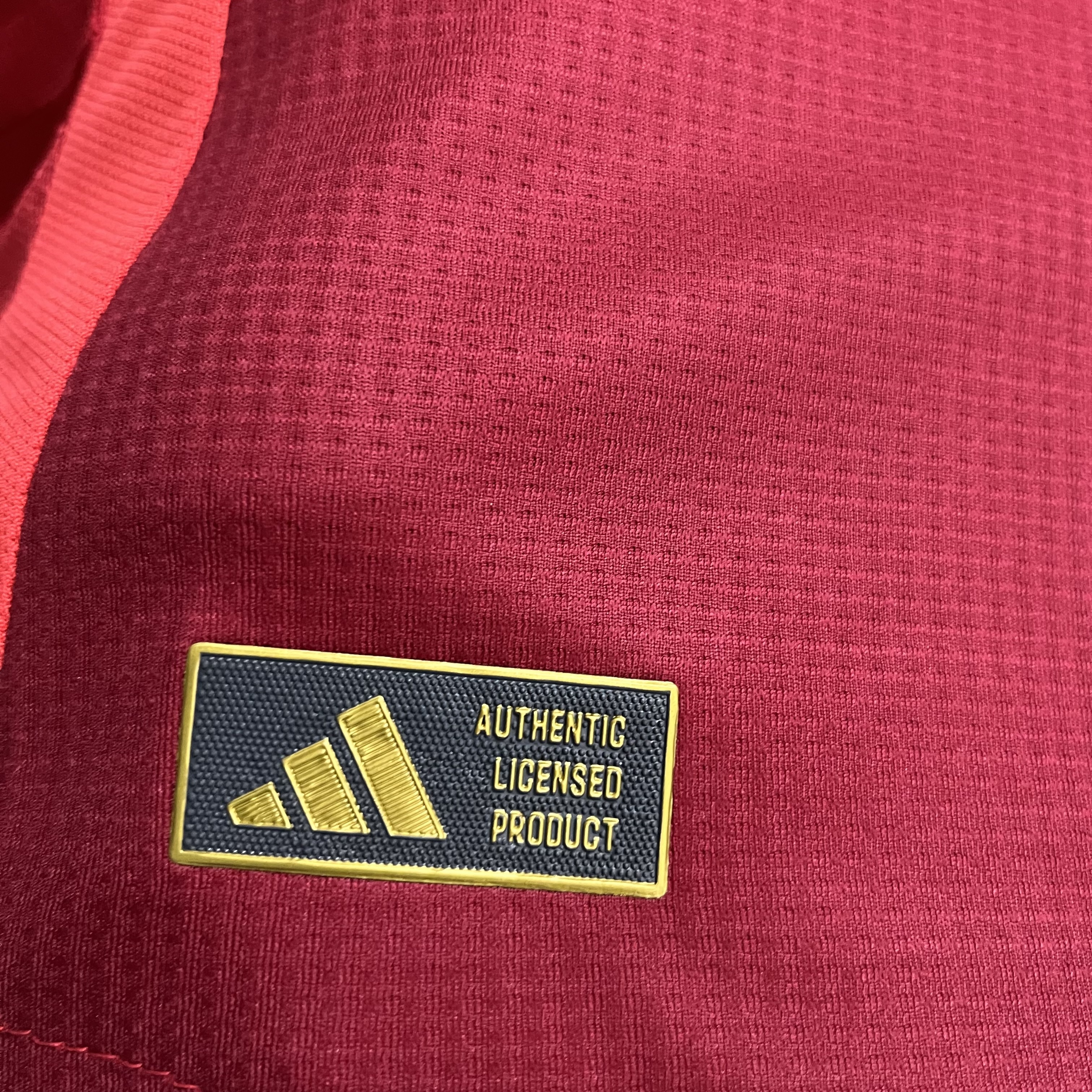 Manchester United 2024/25 Mens Player Version Home Jersey