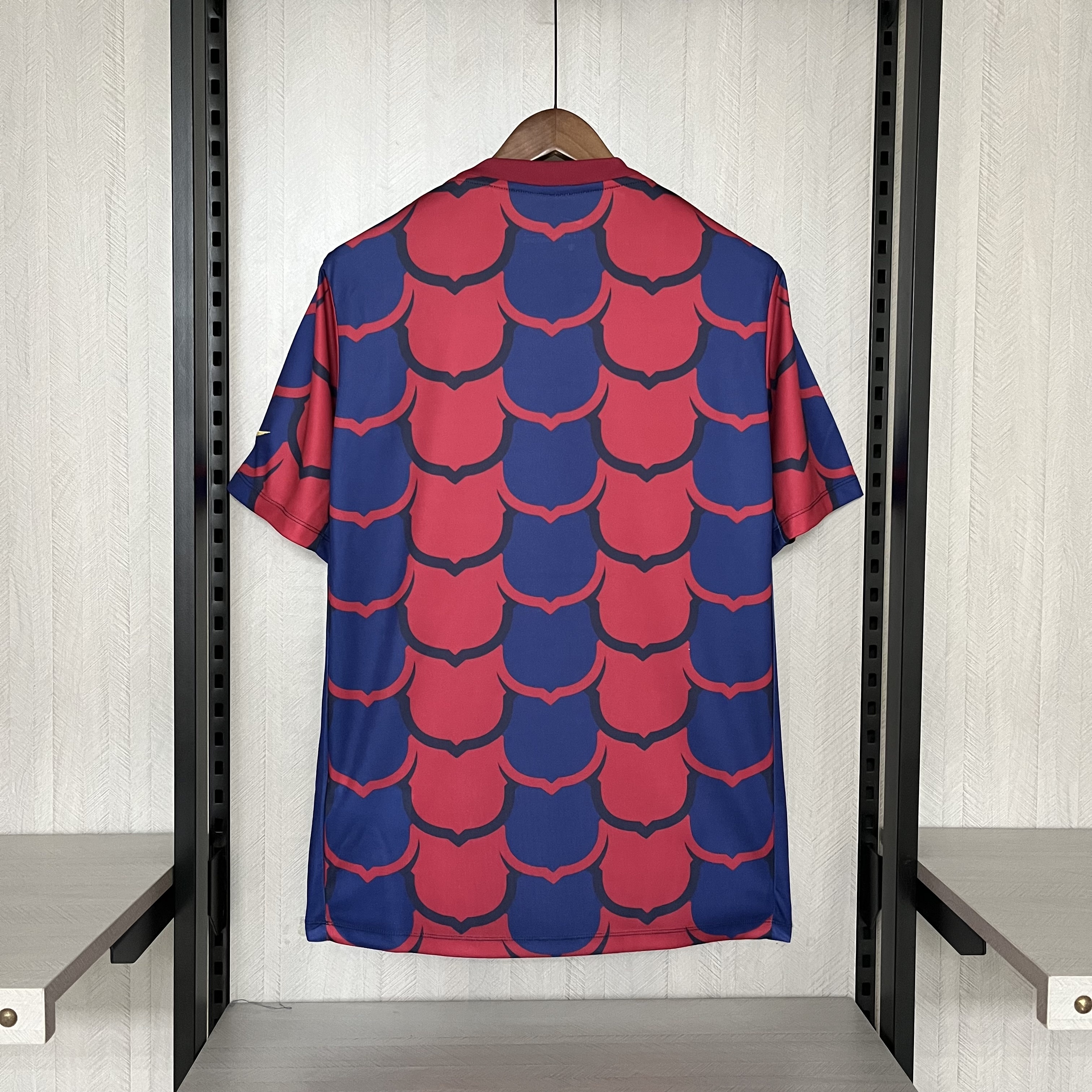Barcelona 24/25 Mens Special Edition Jersey