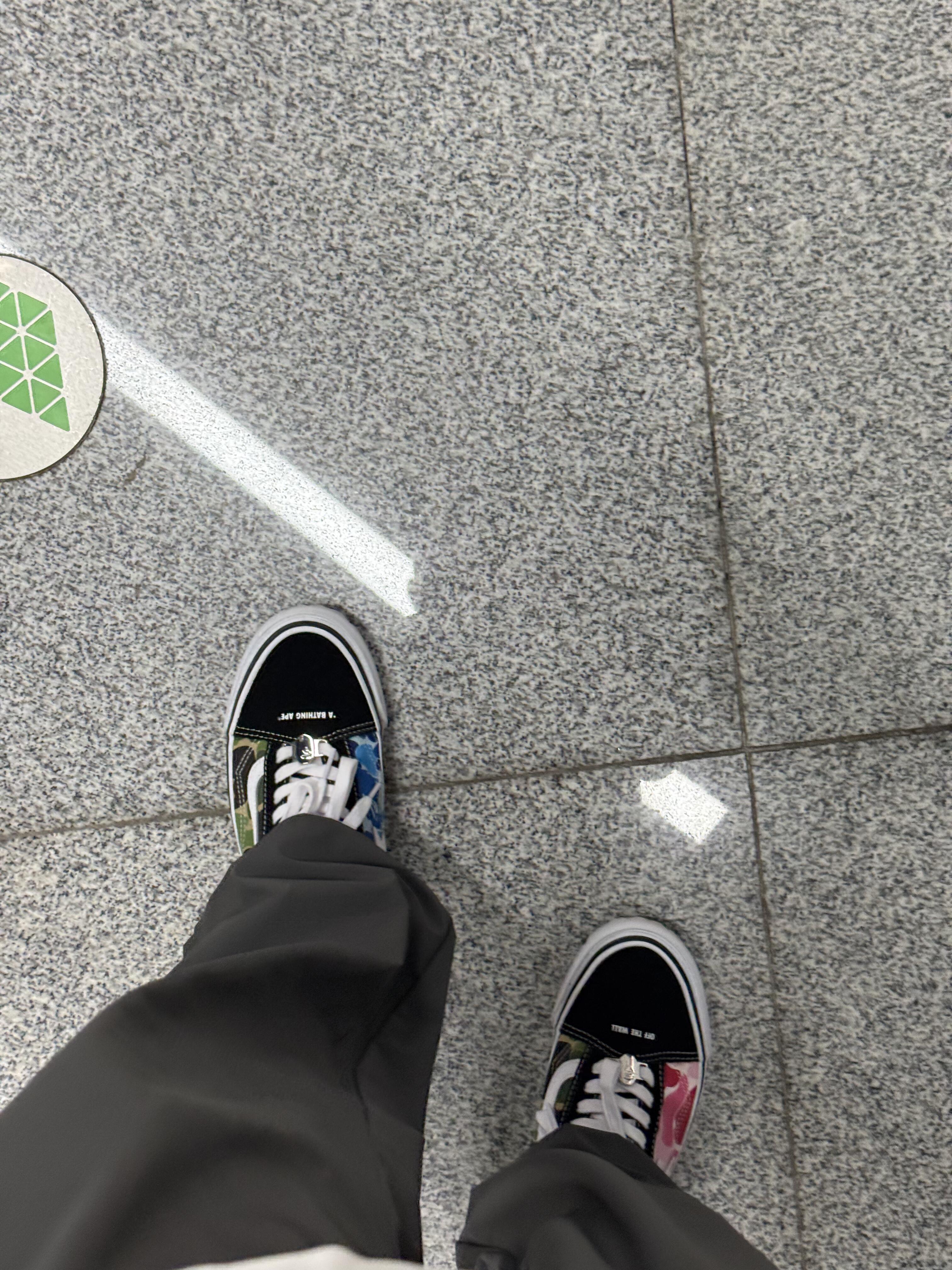 Vans LX Old Skool Bape ABC Multi-Camo review Jason W