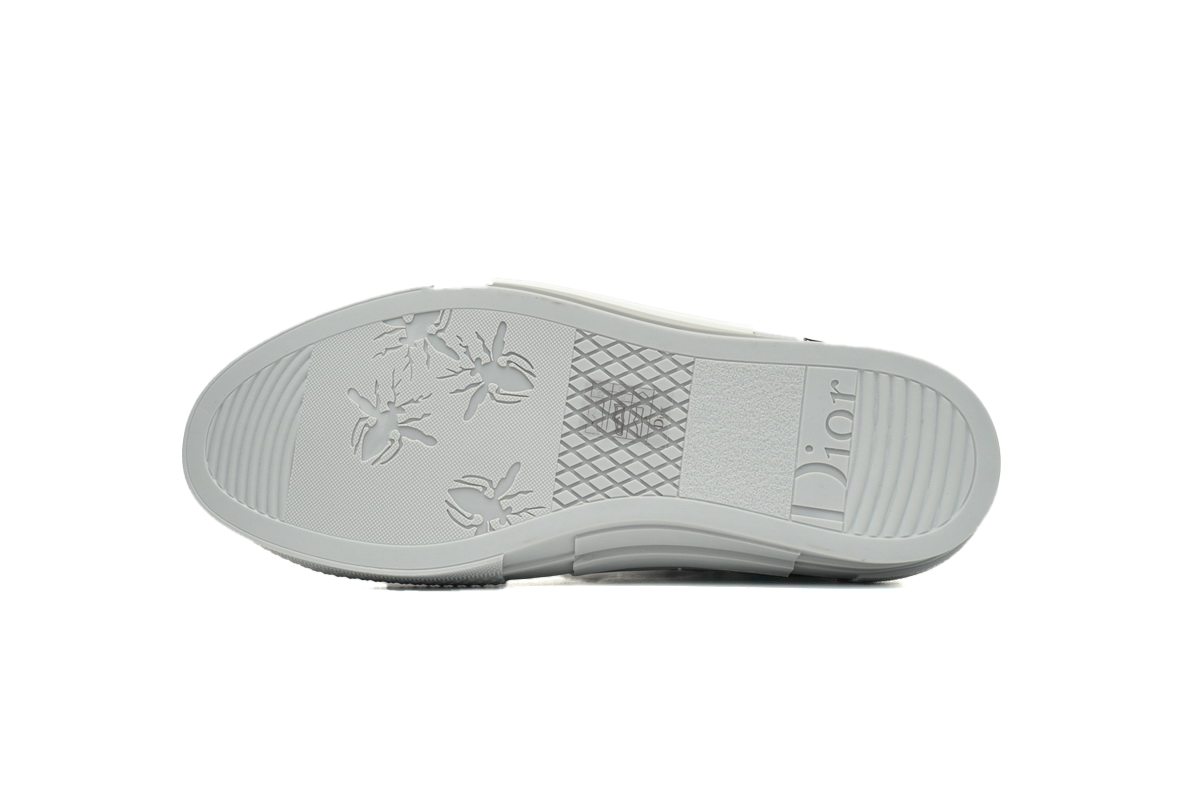 Dior B23 Low Dior Oblique  White Grey