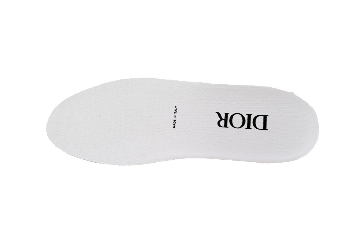 Dior B23 Low Dior Oblique  White