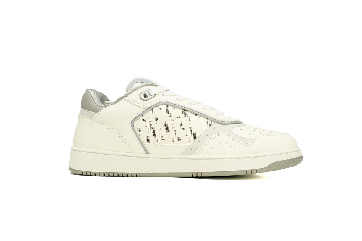 Dior B27 White Grey Oblique