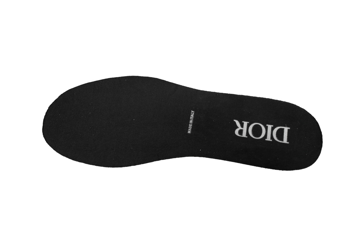 Dior B27 Low Black Gum