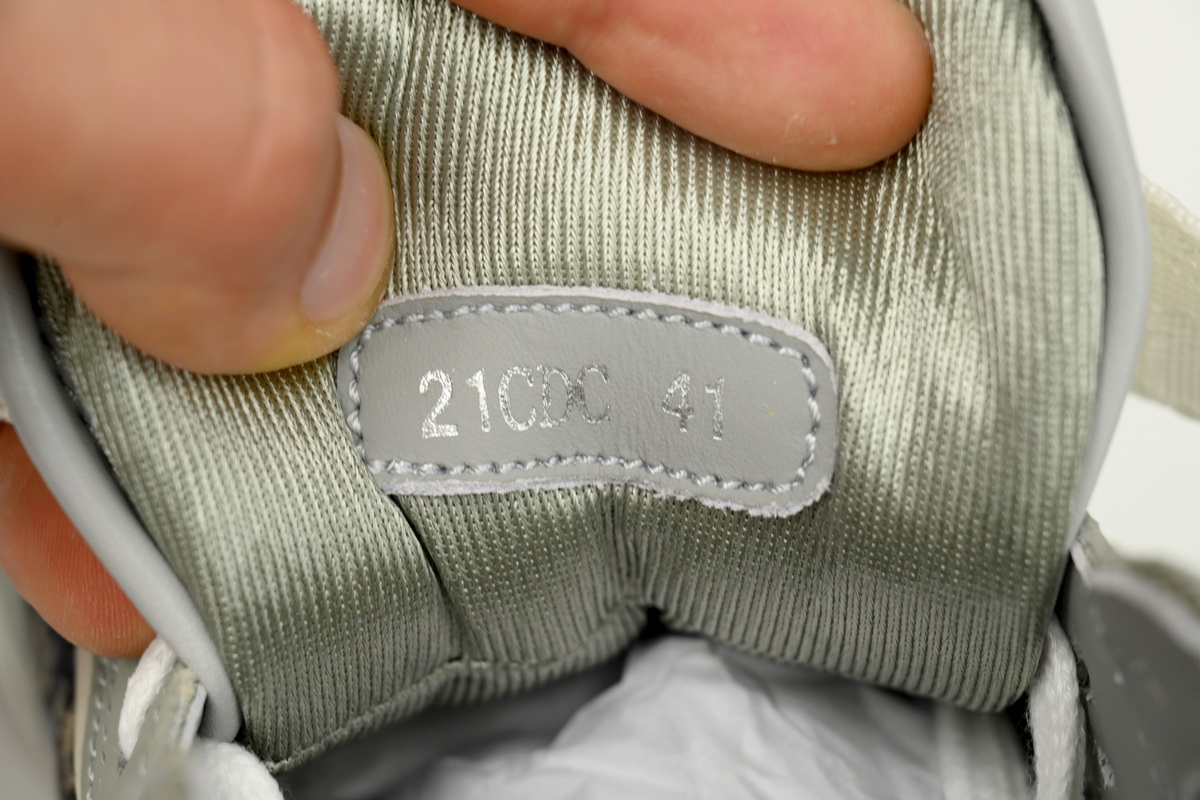 Dior B27 High Top Gray White Strap