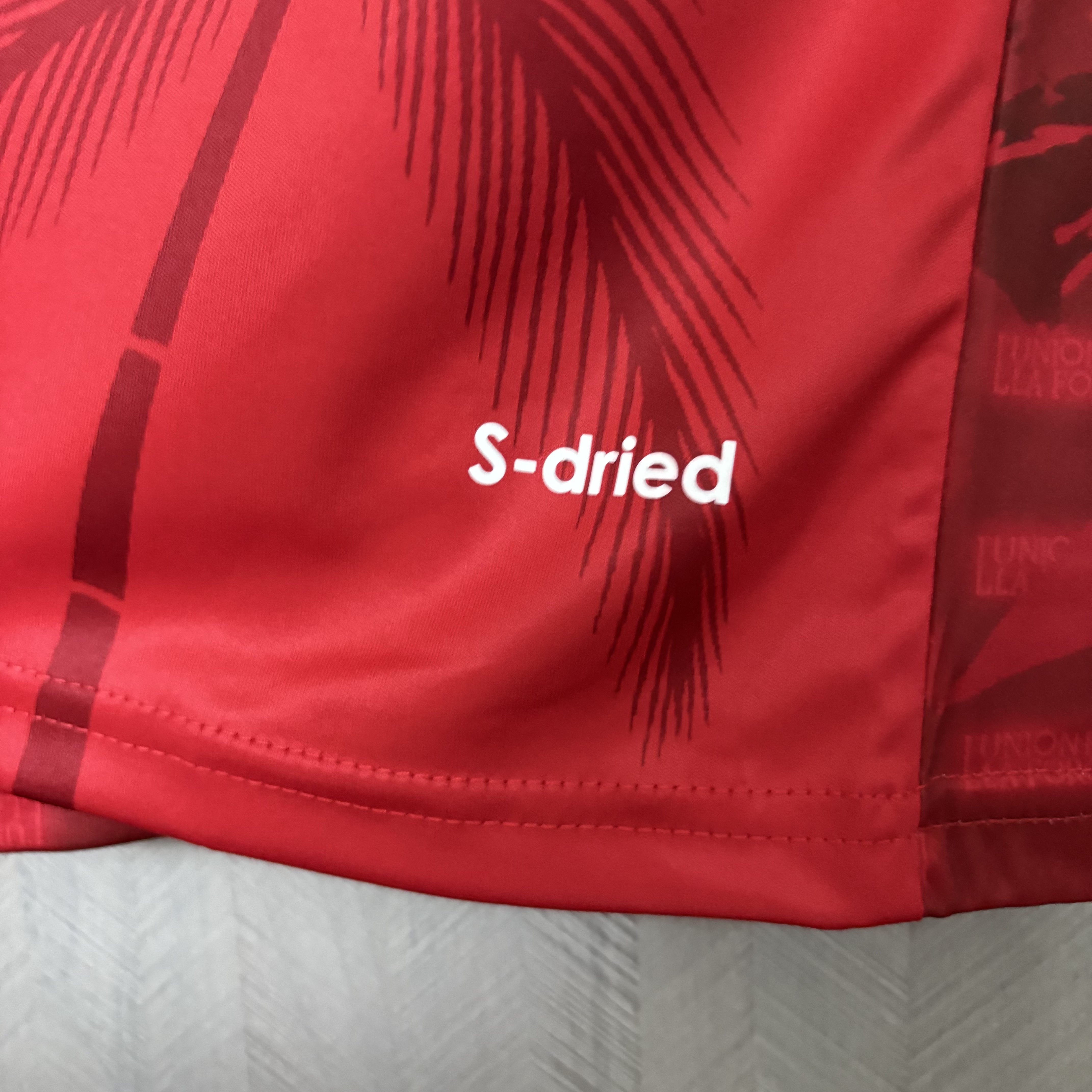 Saeta Haiti 2026 World Cup Third Jersey - Fan Version