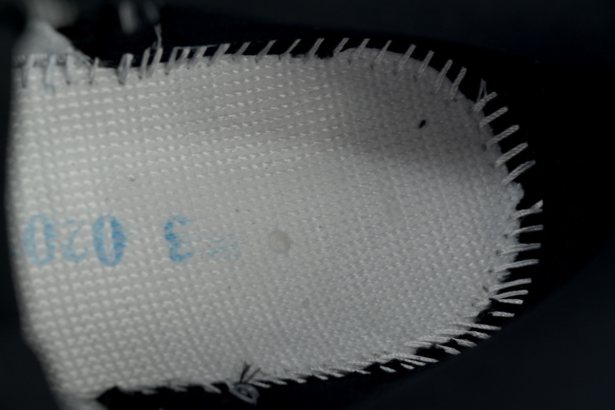Air Jordan 12 “Blueberry” CT8013-140
