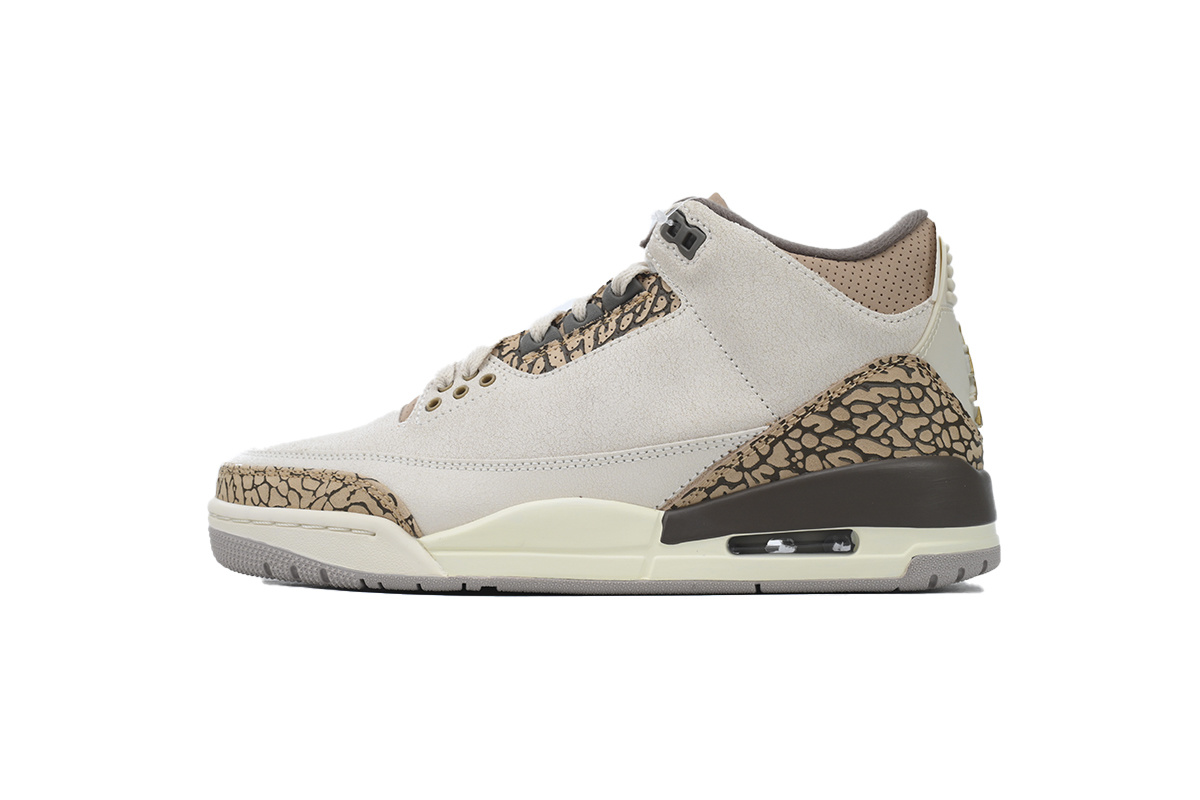 Air Jordan 3 Retro 'Palomino' CT8532-102