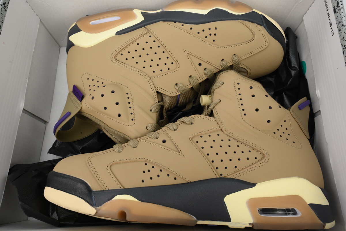 Air Jordan 6 Gore-Tex "Brown Kelp" FD1643-300