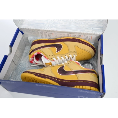 Concepts x NK SB Dunk Low "Yellow Lobster" 313170-137566 02