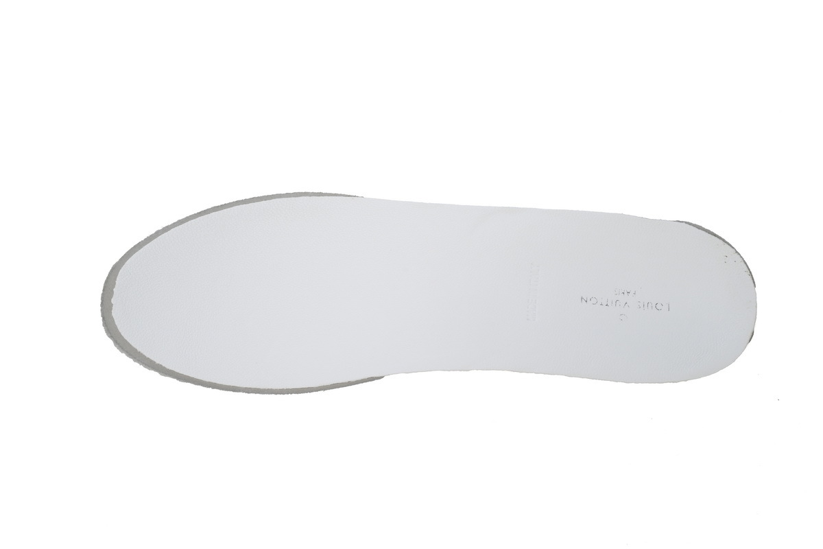 Louis Vuitton Archlight Sneakers 1AAIX1