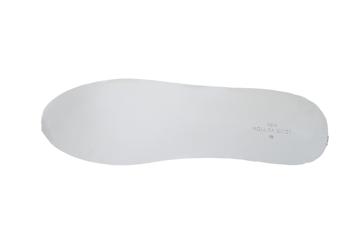 Louis Vuitton Archlight Sneakers 1AD28Z