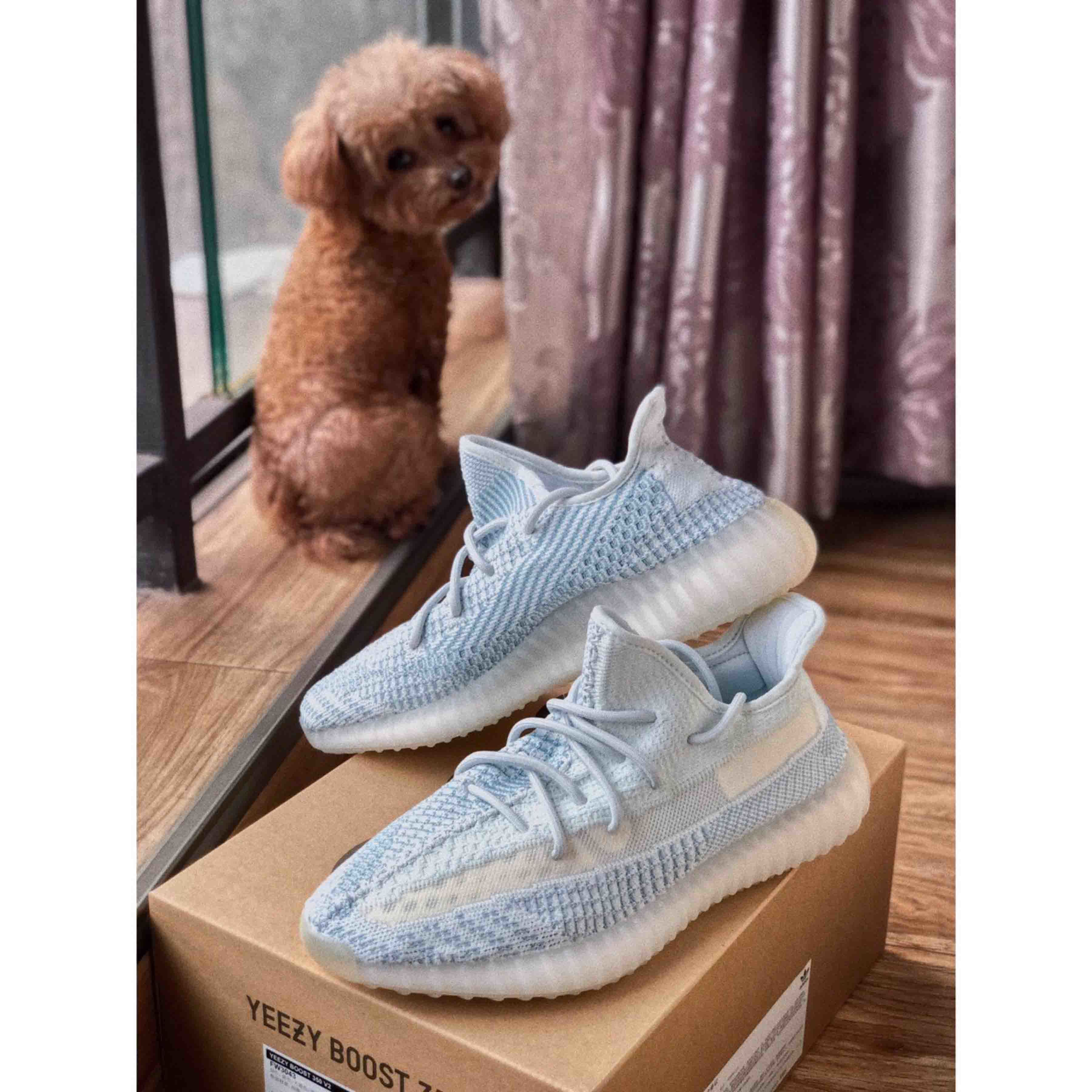 Adidas Yeezy 350 Boost V2 "Cloud White" FW3043