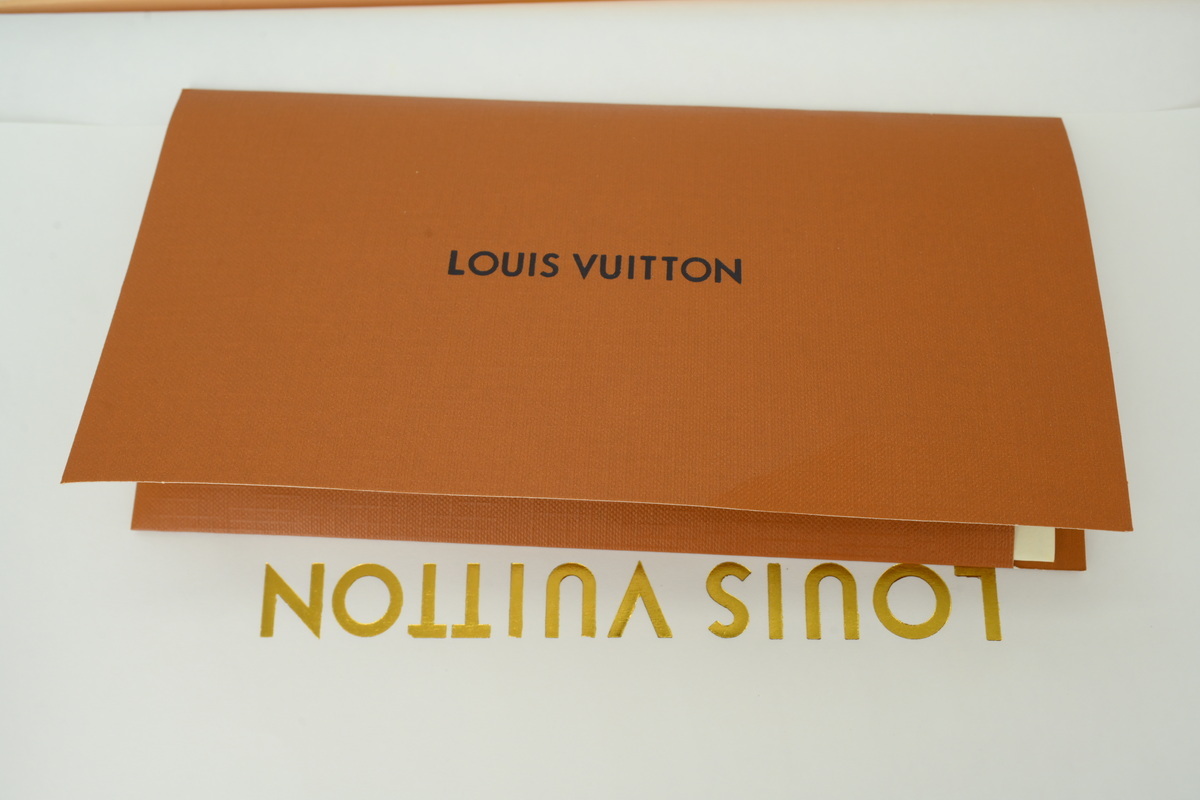 LOUIS VUITTON Skate White Coffee 1AJWA5