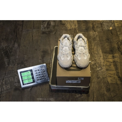 FLAME God Adidas Yeezy 500 Blush DB2908 02