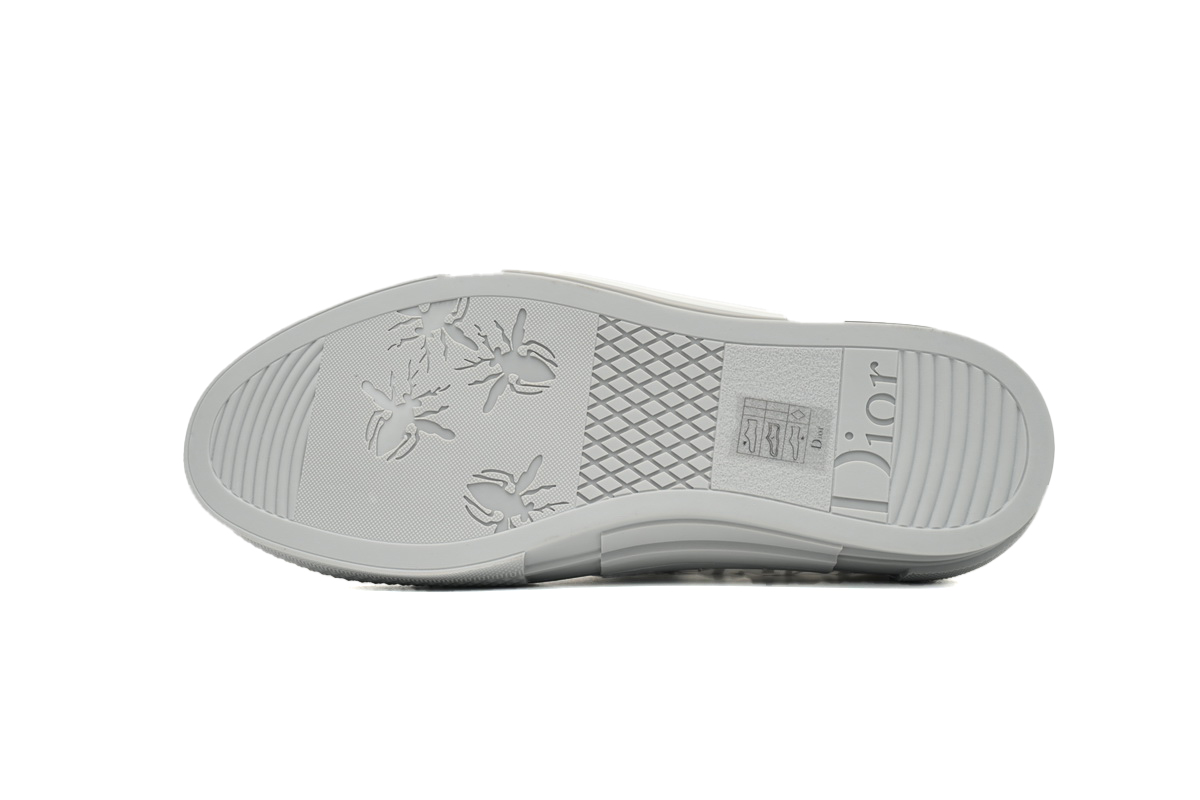 Dior B23 HT Oblique Low Rank Silver Gray