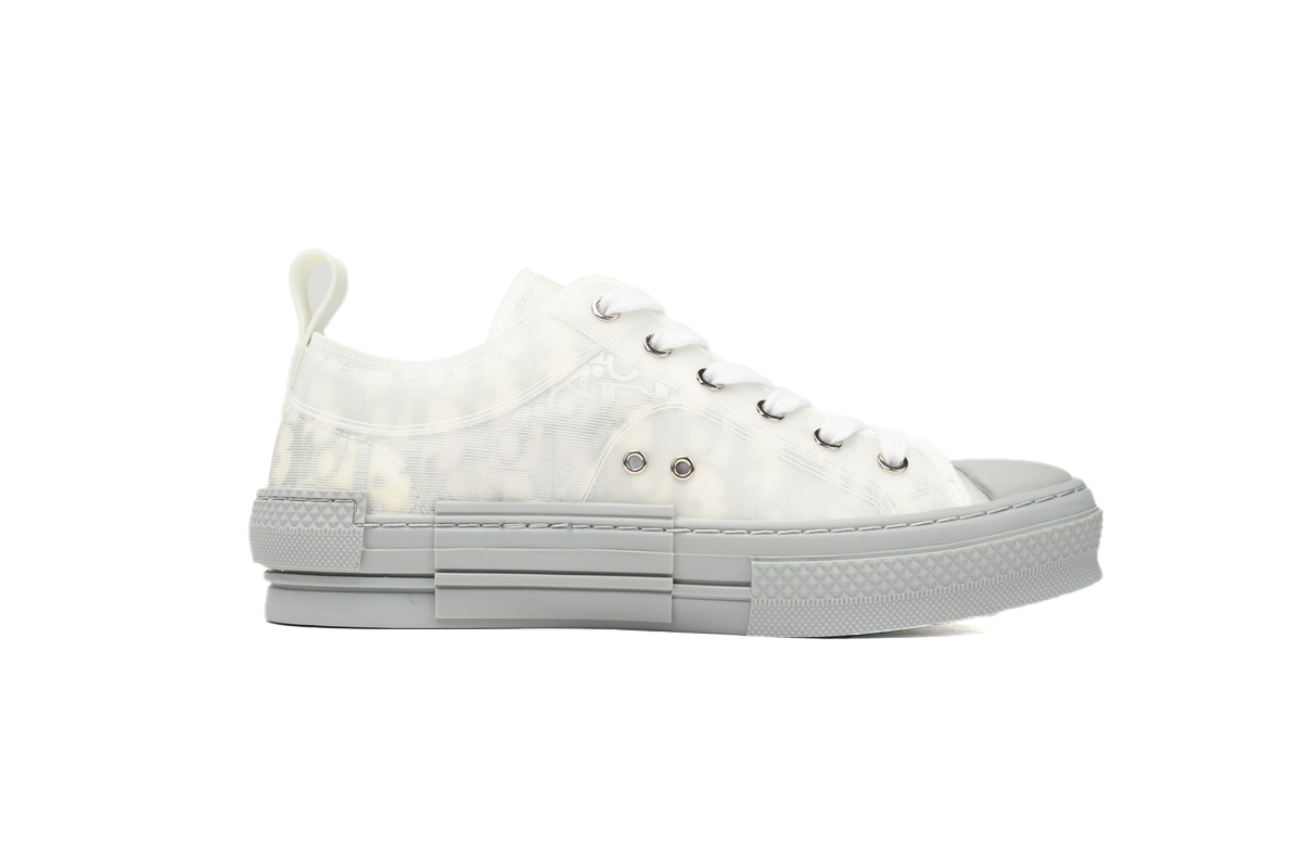 Dior B23 HT Oblique Low Rank Silver Gray