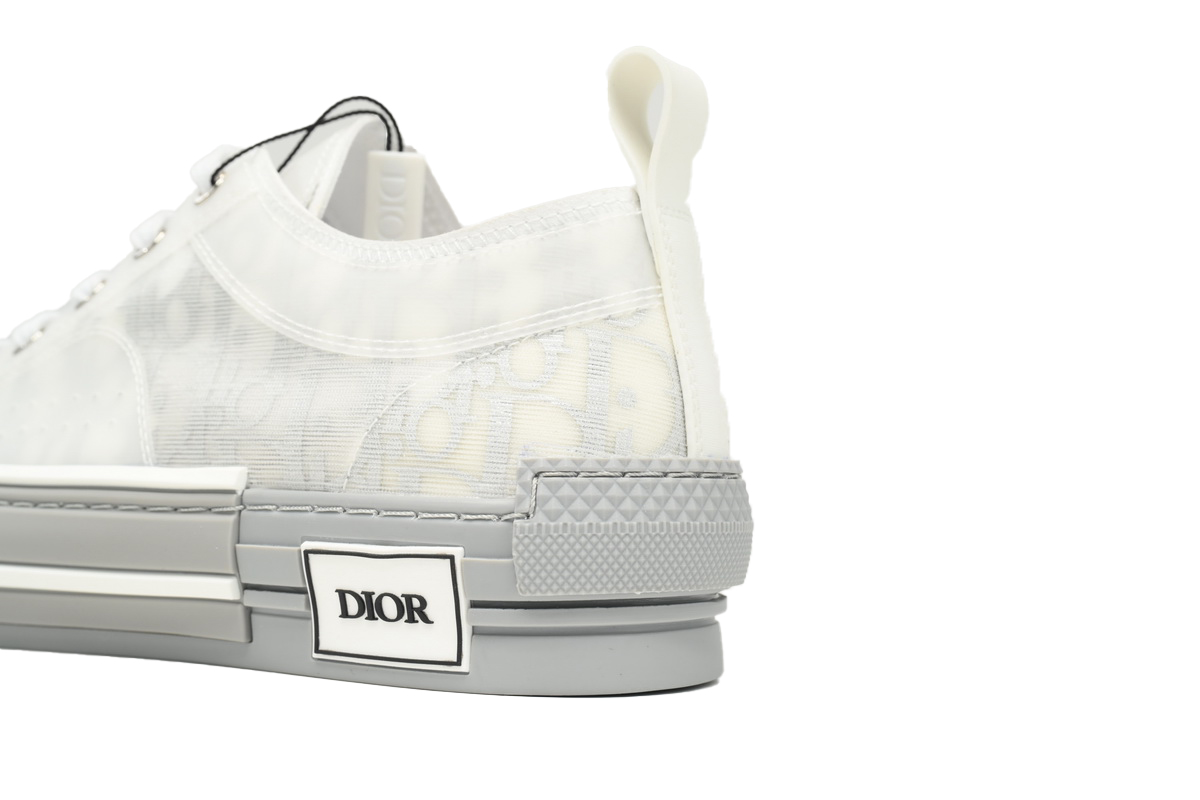 Dior B23 HT Oblique Low Rank Silver Gray