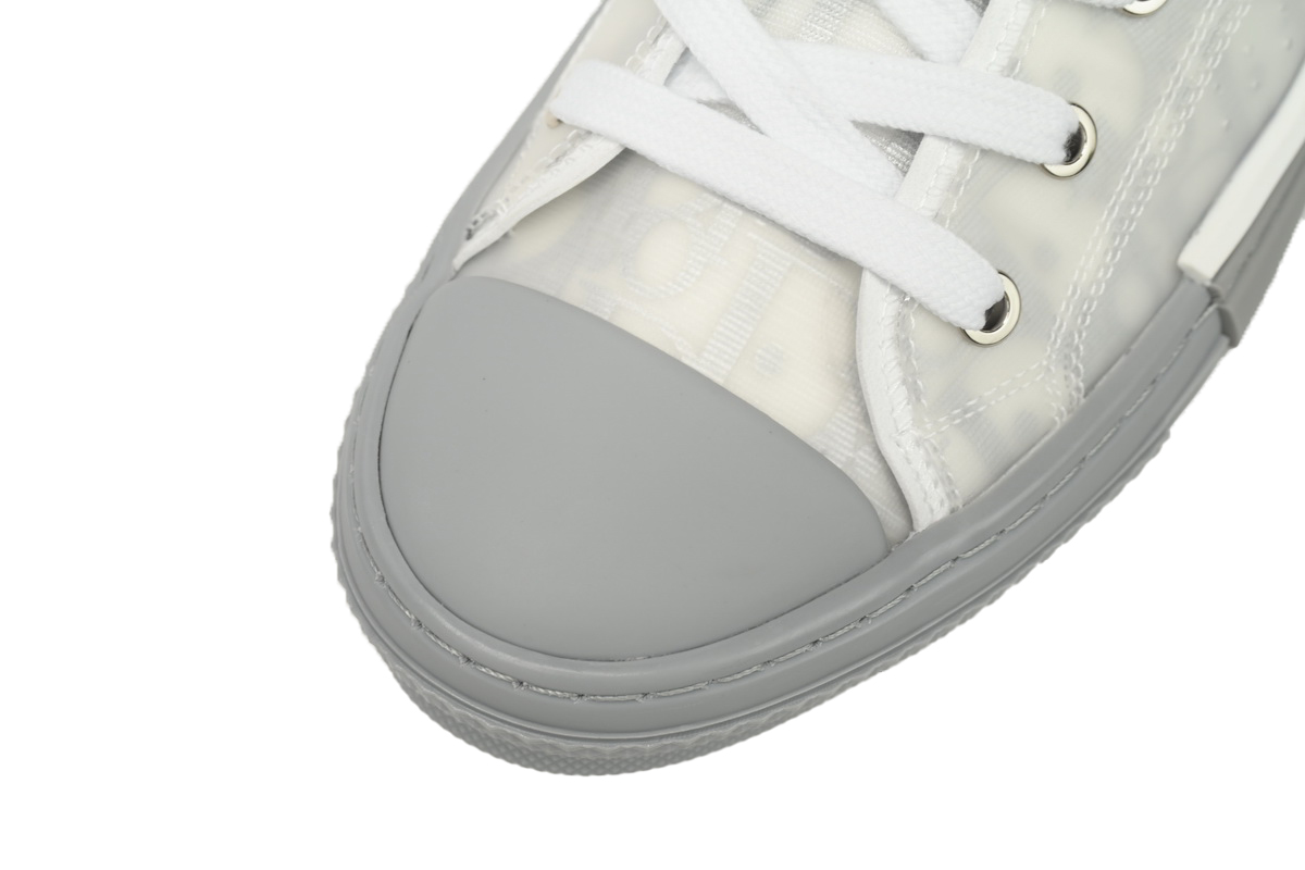 Dior B23 High Top Oblique Transparency Silver Ash