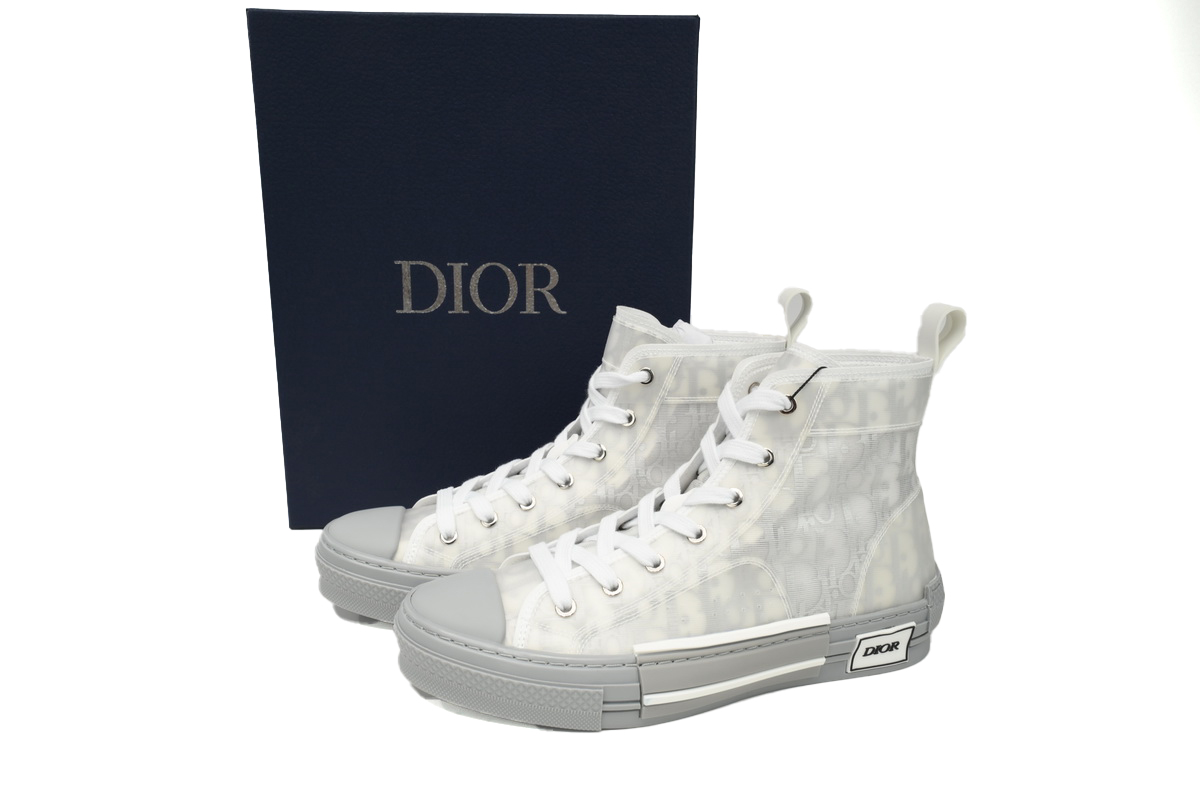 Dior B23 High Top Oblique Transparency Silver Ash