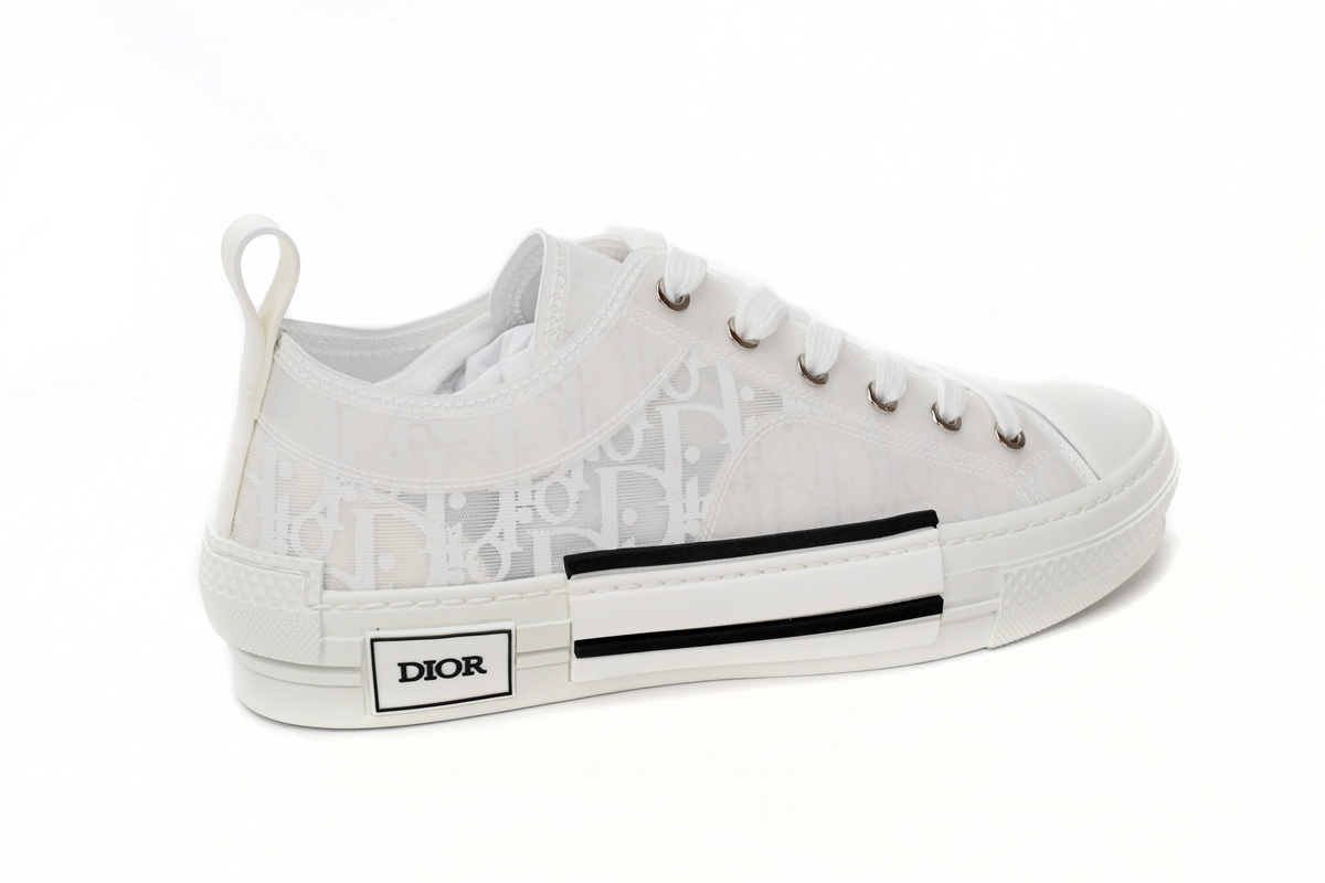 Dior B23 Low Top Oblique