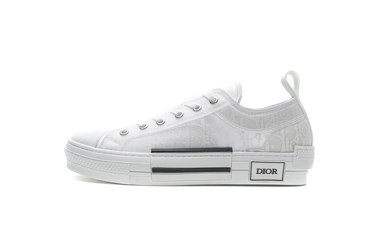 Dior B23 Low Top Oblique